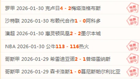 切尔西1-0布伦特福德：门神关键扑救，中场球员世界波锁定胜局